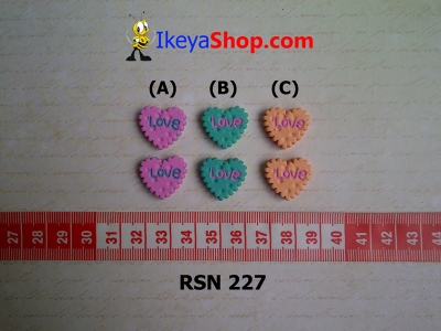 rsn 227  large2